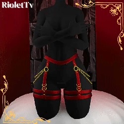 ★ Hip Harness 2★