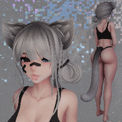 Cat Set (Free)