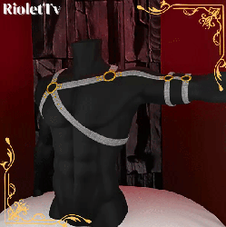 ★Male harness 5★