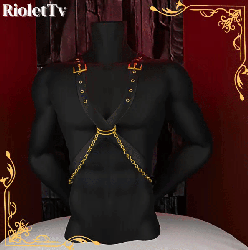 ★FREE Harness 6 ★