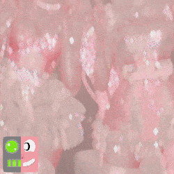 ₍ ᐢ. ̫ .ᐢ ₎♡ 「 ✦ Anna & Ari ✦ 」
