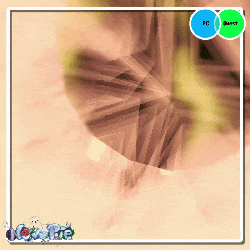Dandelion - The Queen Bee / PC&Quest;/ Budget Friendly