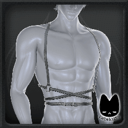 Wrapped Harness | ZIN EBOY & RP BASE