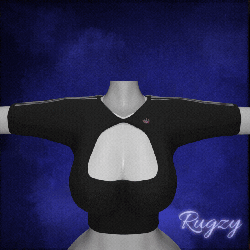 RROpenCropTop