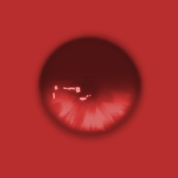 "AMOUR HEAD" EYE TEXTURES