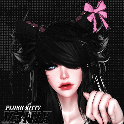 PlushKittySet