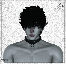 024 - si choker