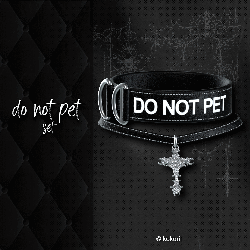 DO NOT PET! - collar set