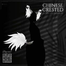 Chinese crested set - Anybase - !VRCFURY!