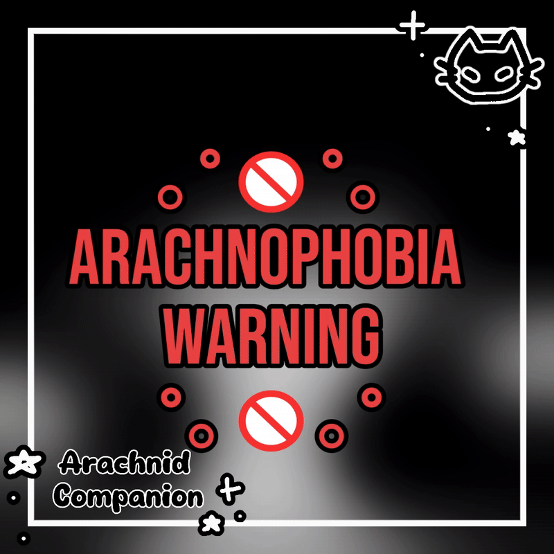 🕷️ Arachnid Companion 🕷️ Spider Prop 🕷️ Tarantula Pet 🕷️