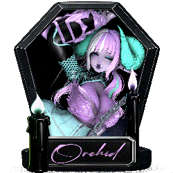 Orchid the Sorcubus