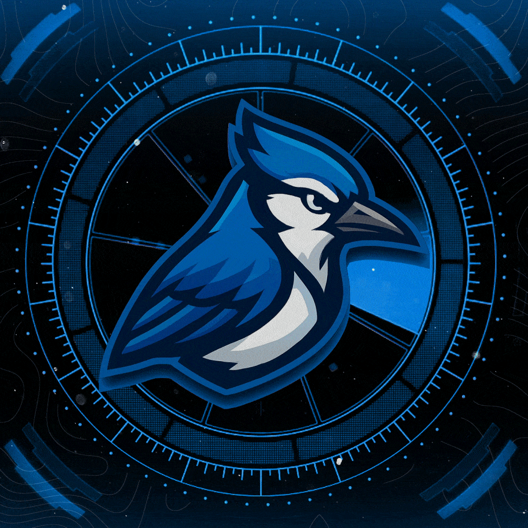 Animated Template Pack