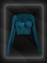Basic Top (long Sleeve Crop Top)