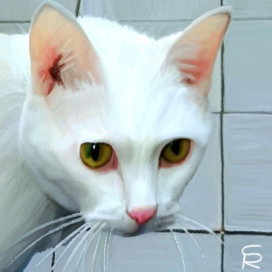 This is a (digital) painting of a close-up of a white cat, illustrated with a soft, detailed style. The cat’s fur appears almost luminous, a pristine white color. The large, round yellow-green eyes convey an expression of curiosity and focus, adding a lively character to the artwork. The cat's delicate pink nose and prominent whiskers are clearly defined, enhancing its expressive face. In the background, a tiled surface can be seen, suggesting an indoor setting, which contrasts softly with the cat's bright fur. The overall composition emphasizes the cat's attentive posture, inviting viewers to engage with the feline's inquisitive nature. The artist's signature is subtly placed in the bottom right corner, adding a personal touch to the piece.