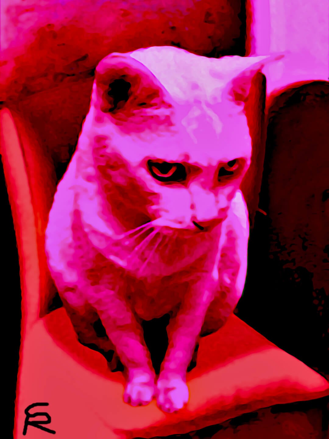 This is a digital painting of a pink cat sitting on a bright red cushioned chair, looking down at something. The cat's fur is a vibrant pink, and its eyes are heavily shadowed, giving it an intense and almost menacing expression. The background appears to be some minimalistic living room somewhere. The cat's gaze and the stark colors suggest a story unfolding.
