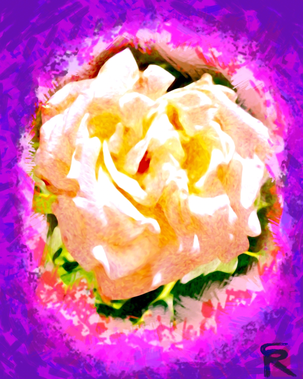 A pink/yellow rose with many swirling petals created with some distortion and pointillism techniques. The rose is surrounded by a purple border with many explicit and rough brush strokes. The artist signature is located at the bottom right.