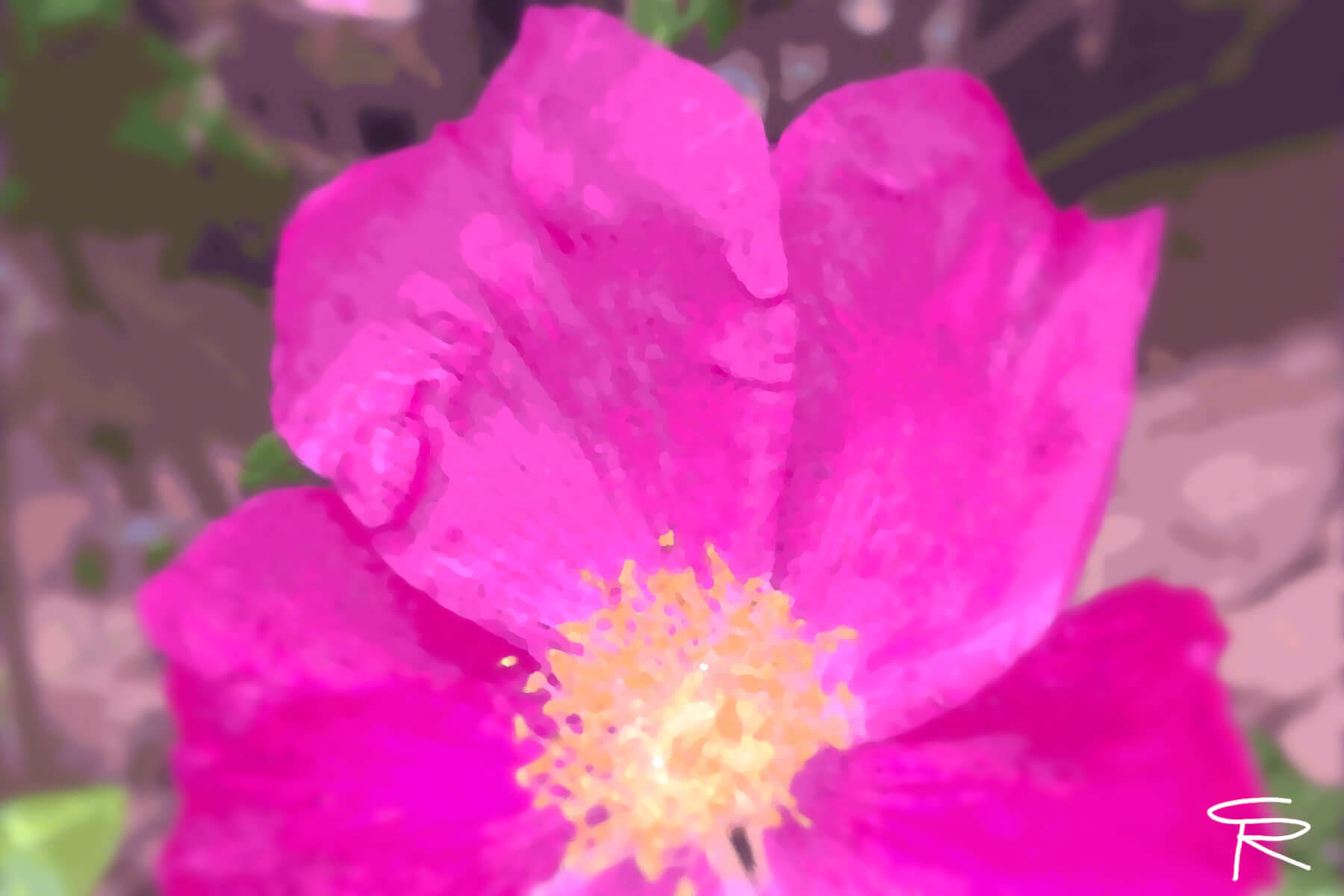 This is a pink flower with yellow stamen and a slight circular blur around the flower. The petal's details were designed to be as specific as possible, while the stamen are more brief and pointillist in nature. The background is blurry, as the main subject of this digital painting is the pink flower.