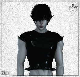 029 -  Fore shirt