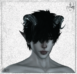030 - cn horns