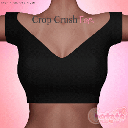 Crop Crush Top ♡