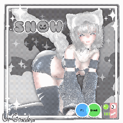 SNOW (PC/QUEST)