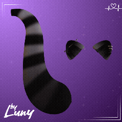 Raccoon Ears & Tail