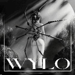 Spider Set