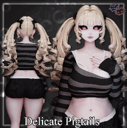Delicate Pigtails Hair