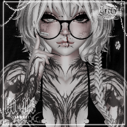 NO .116 { Server Freebie }