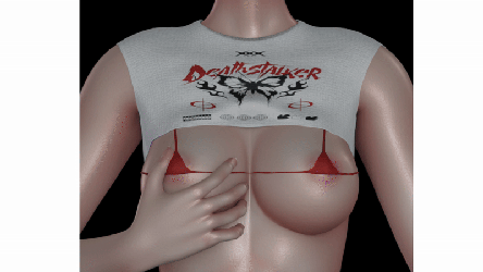 Y2K Crop Top & Bra