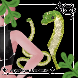 ๐ Asparagus the Snake ๐ Animated Pet ๐ Snake Friend