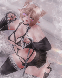 ❥ ⋆ A L L O R A [pc | ft]