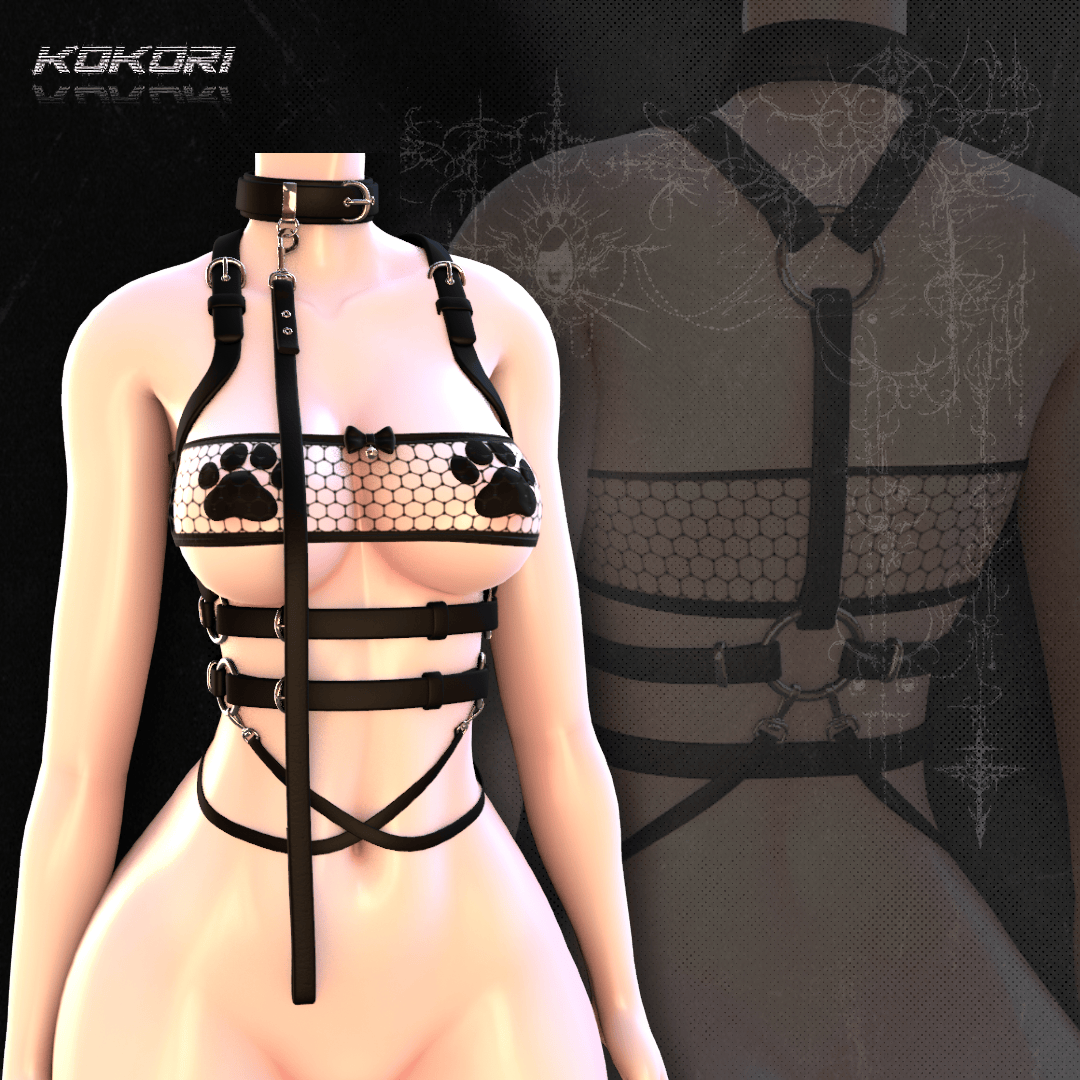 sweetheart harness set  𖹭.ᐟ