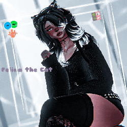 Felina the Cat