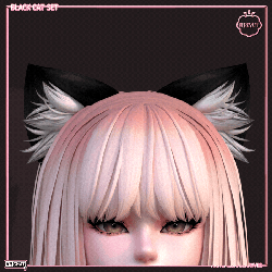 Black Cat Set [NITRO FREE]