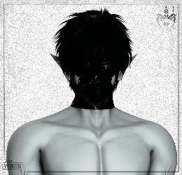 036 - Gimx mask