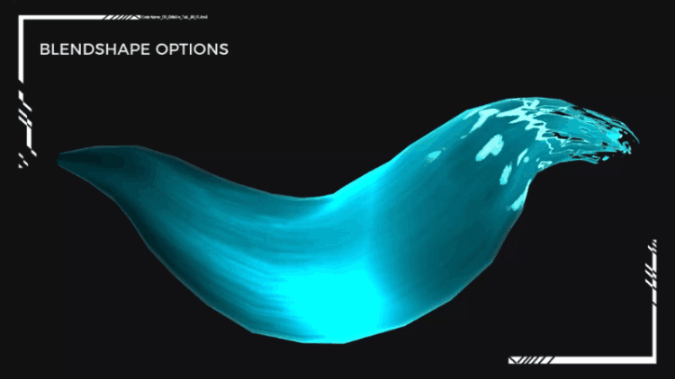 blendshape, shape key, unity, blender blender 3d tail, 3D model, game ready asset