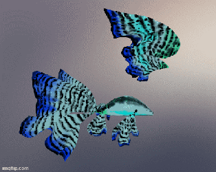 Goldfish Tail and Fins