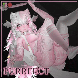 PURRFECT ⇨ VRCFT ⇦