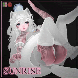 SUNRISE ⇨ VRCFT ⇦