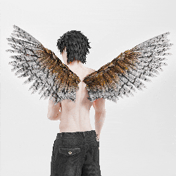 Bird Wings