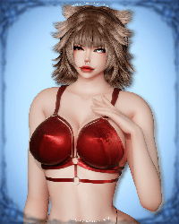 CI - Bra