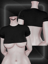 Short Top