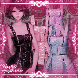 Zipper Dress