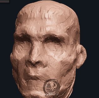 Quick demo using the Rygaard Clay Oil Paint brush - 3DCoat