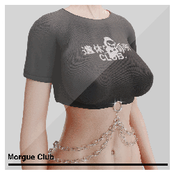 Chain Top.