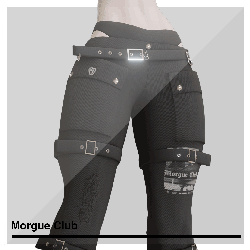 [*Free* Check Desc.] Edgy Pants.