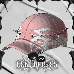 NIKKI'S CAP
