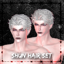 Shun Hair Set [Namin hair & Sang hair]