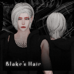 Blake's Hair
